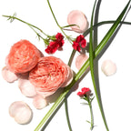 Aromatherapy Associates Rose Rejuvenating Body Trio